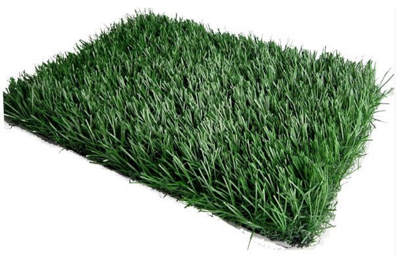 Garden Artificial Grass