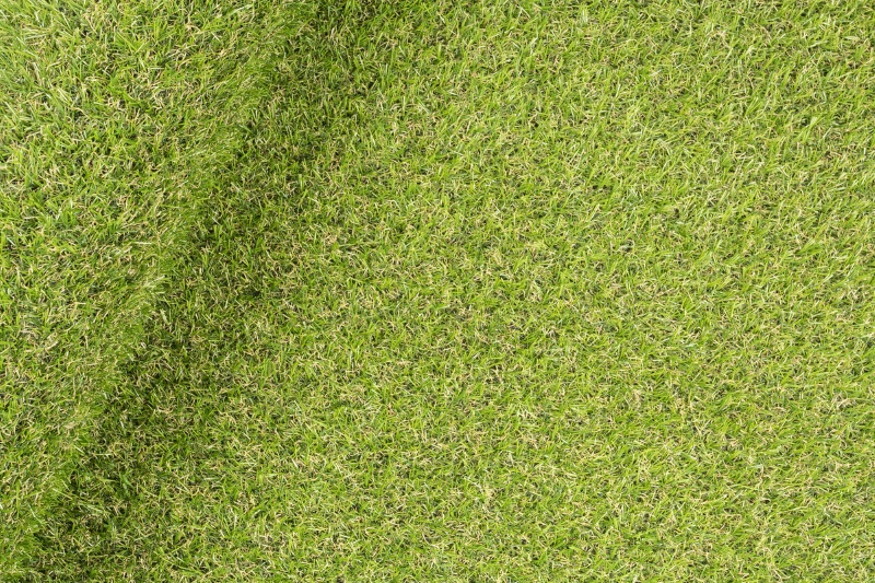 Pets Artificial Grass